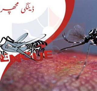 dengue machar ka ilaj