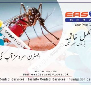 mosquito bites causes harmful diseases