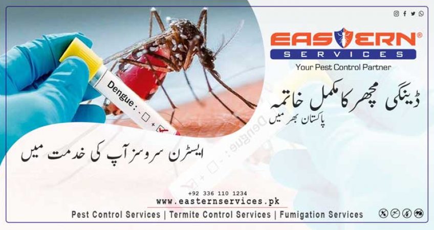 mosquito bites causes harmful diseases