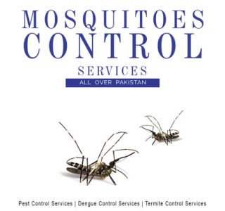 best mosquito control services near me