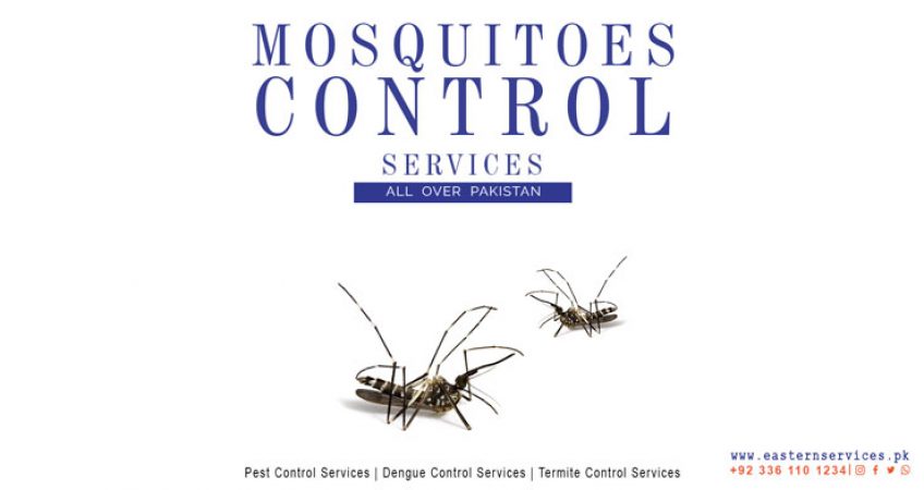 best mosquito control services near me