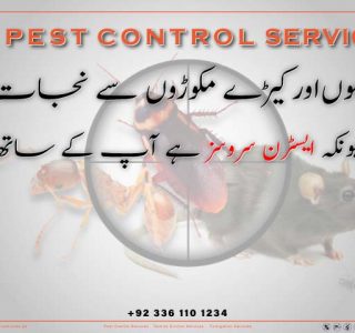 best mosquitoes control services in Karachi