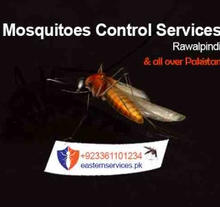 mosquitoes control services in rawalpindi