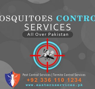 best mosquitoes control services near me