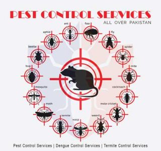 best pest control services in Karachi