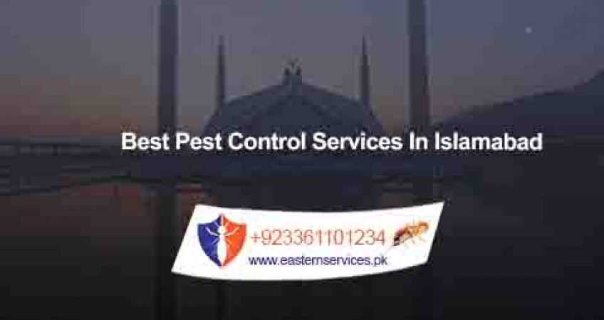 best pest control services in islamabad pakistan