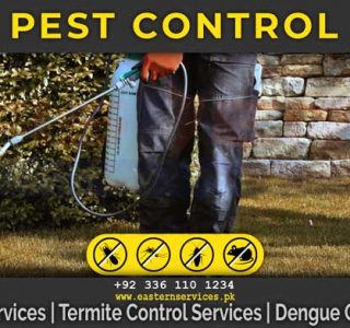 pests control services