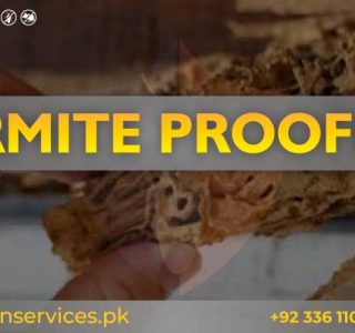 Termite Proofing Services