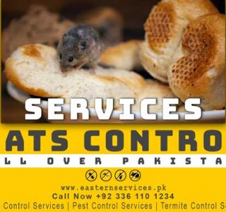 rat control services near me
