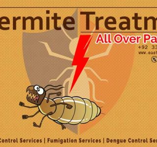 termite renting services pakistan