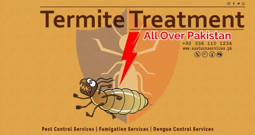termite elimination services pakistan
