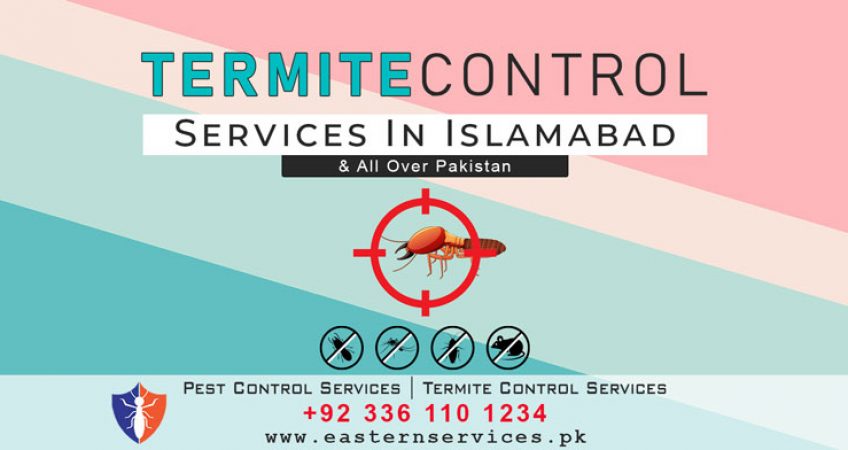 best termite control services in Islamabad