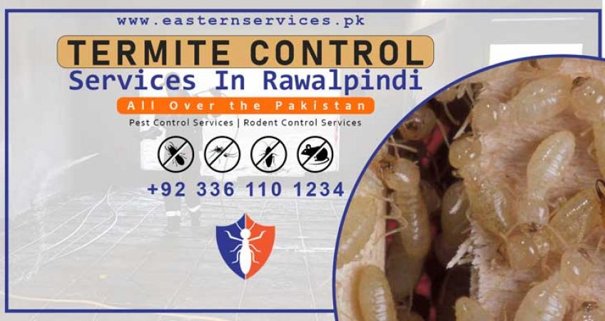 best termite control services in Rawalpindi