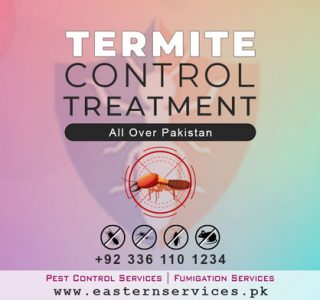 termite control treatment in Pakistan