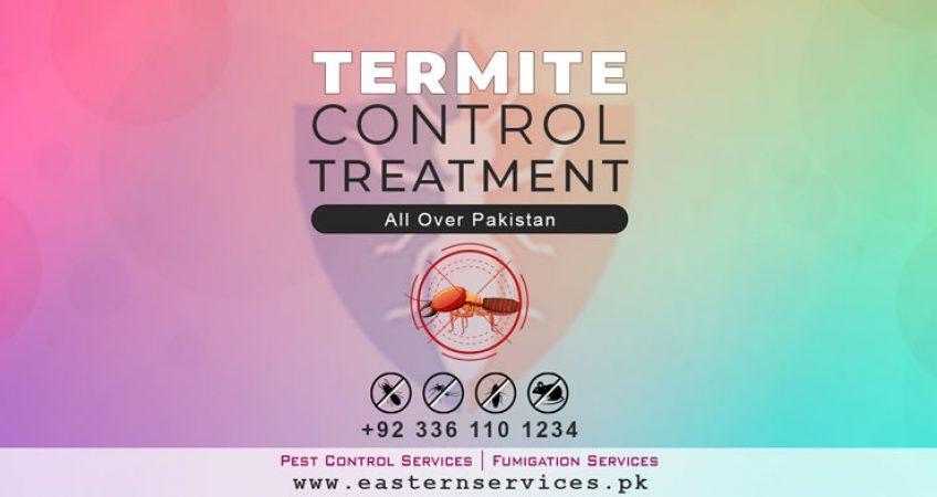 termite control treatment in Pakistan
