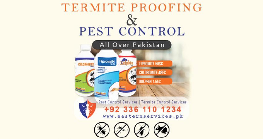 termite proofing and pest control