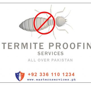 best termite proofing services