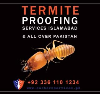 termite proofing services in Islamabad