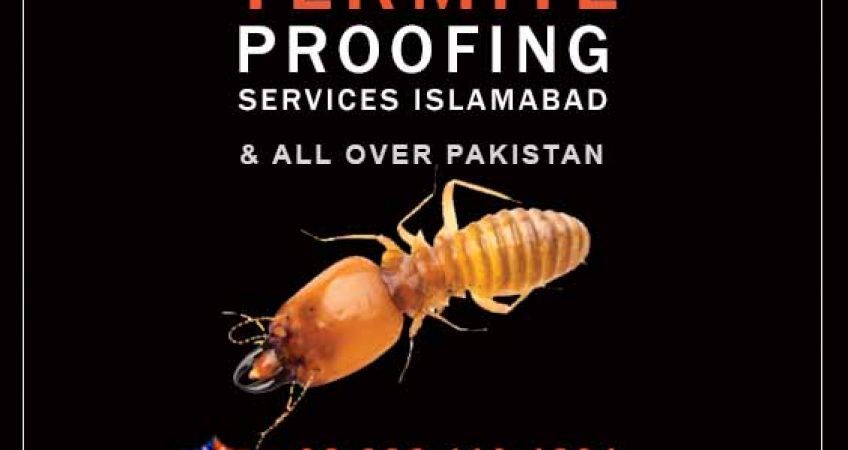 termite proofing services in Islamabad