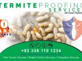 best termite proofing services