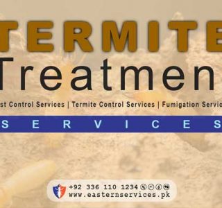 best termite treatment at home