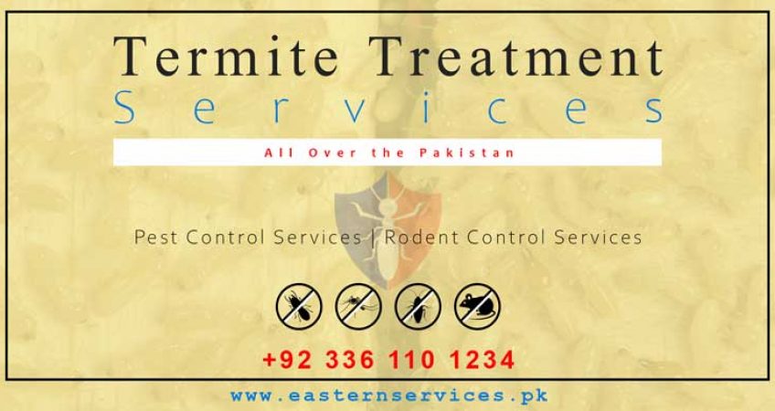 Best termite treatment services near me