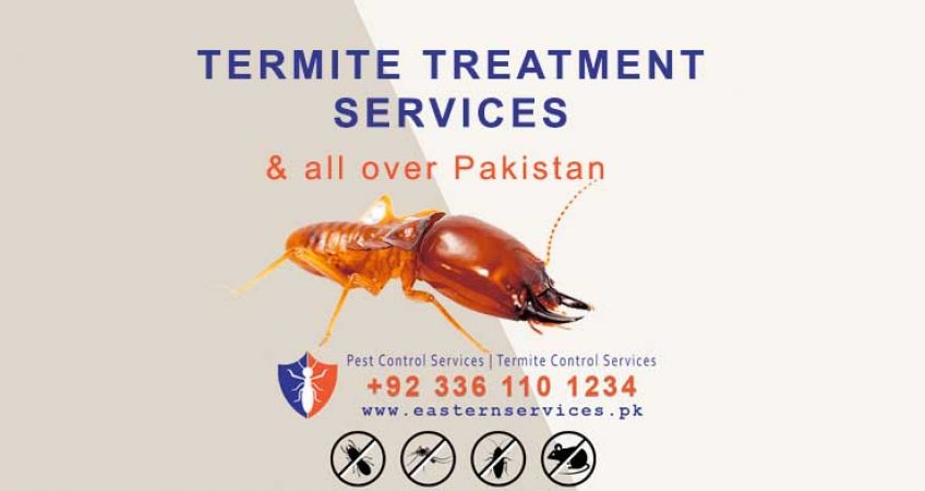 best termite treatment services