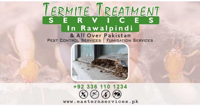 best termite treatment services in Islamabad