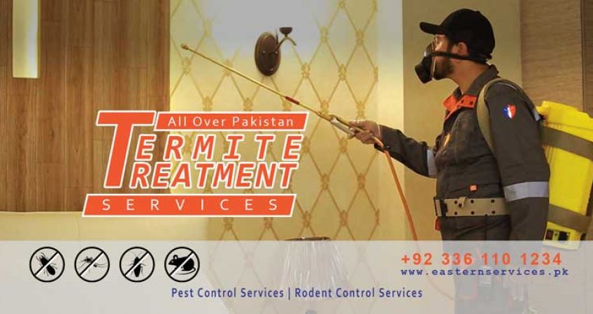 best termite treatment services near me