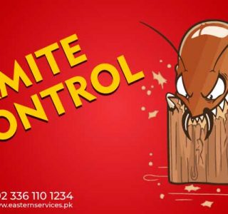 The best termites control