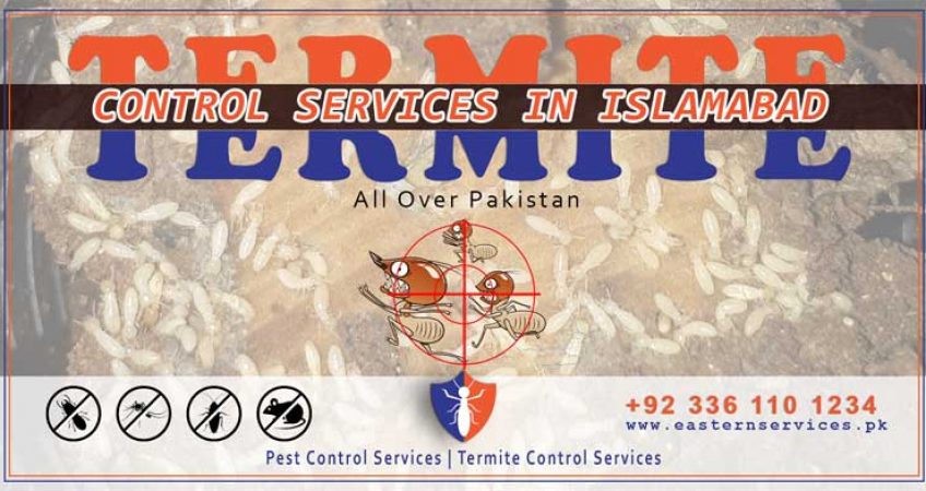 best termites control services in Islamabad